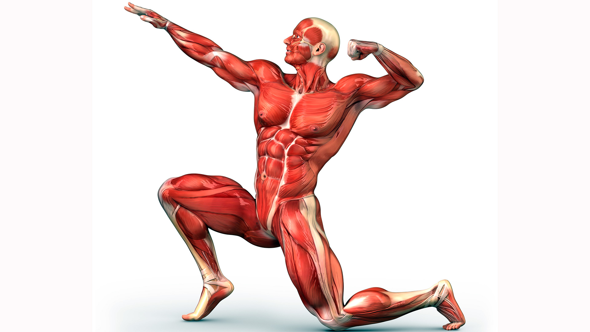 taller de readapatación muscular